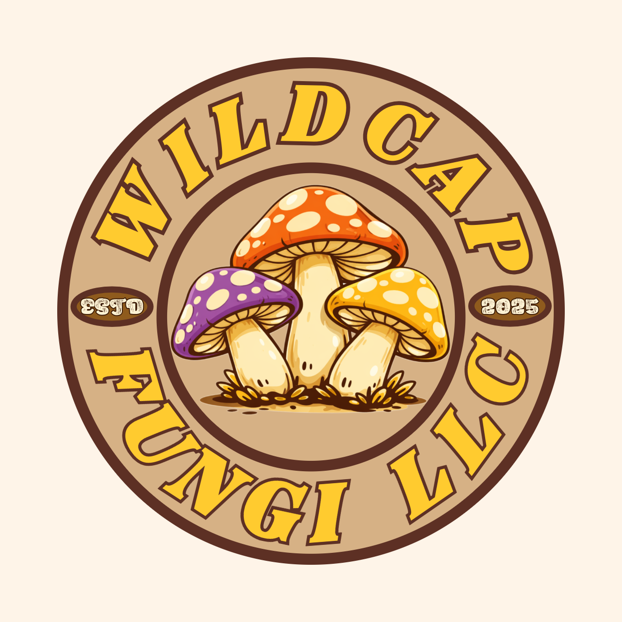 Mushroom Powders and Seasonings